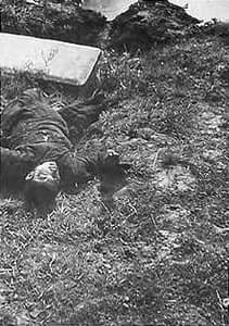 辛德贝格相册中的原始说明写道：“这名农民男孩被日军用枪托打死，因为他没有脱帽。”